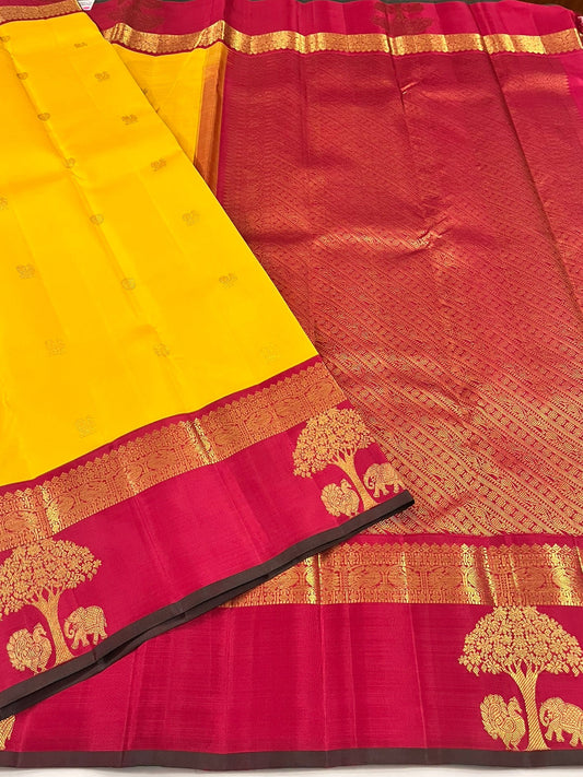 Kanchivaram Silk SBF108H2-1 By SRISHTA