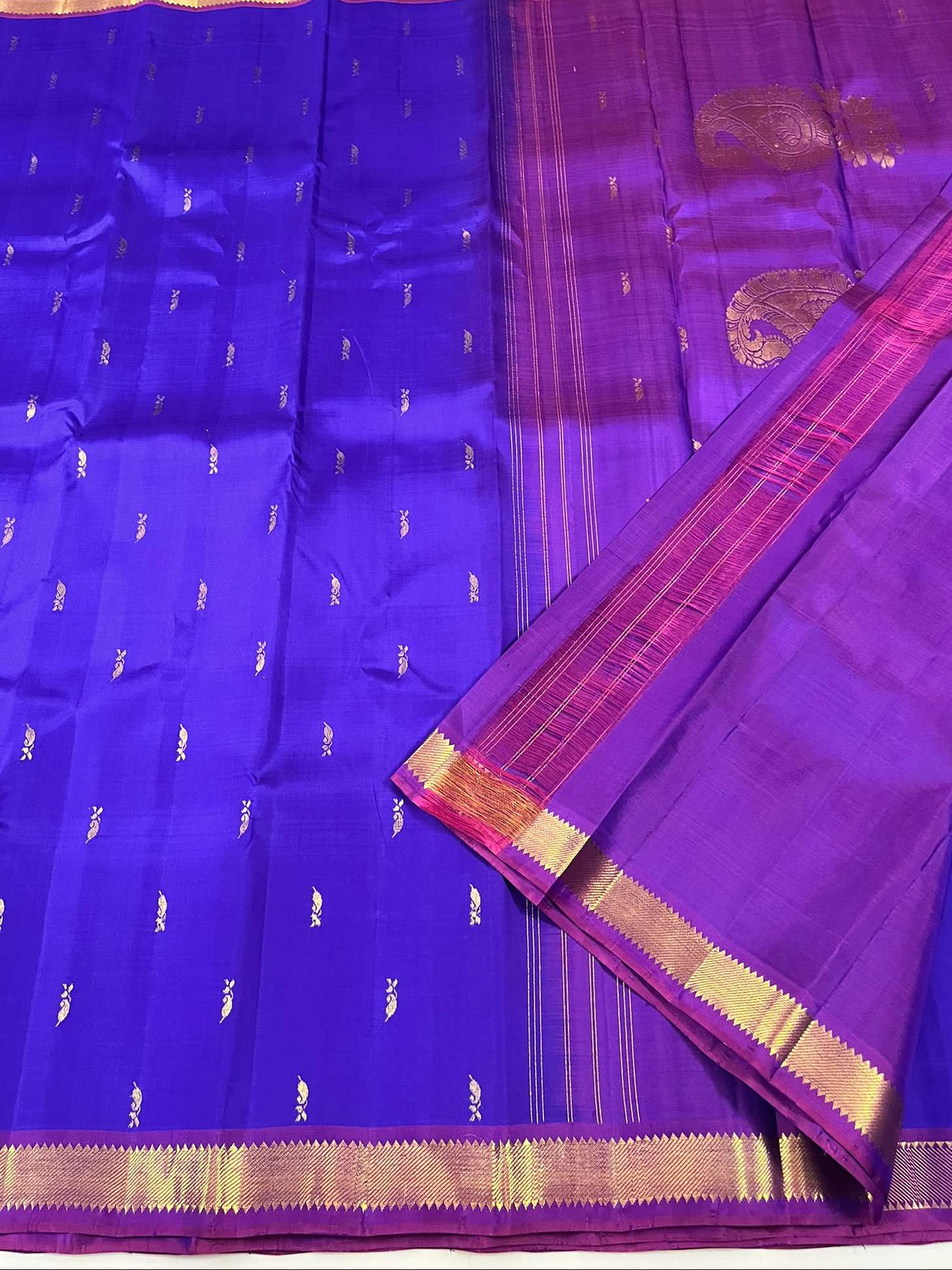 Kanchivaram Silk SBF118I2-4 By SRISHTA