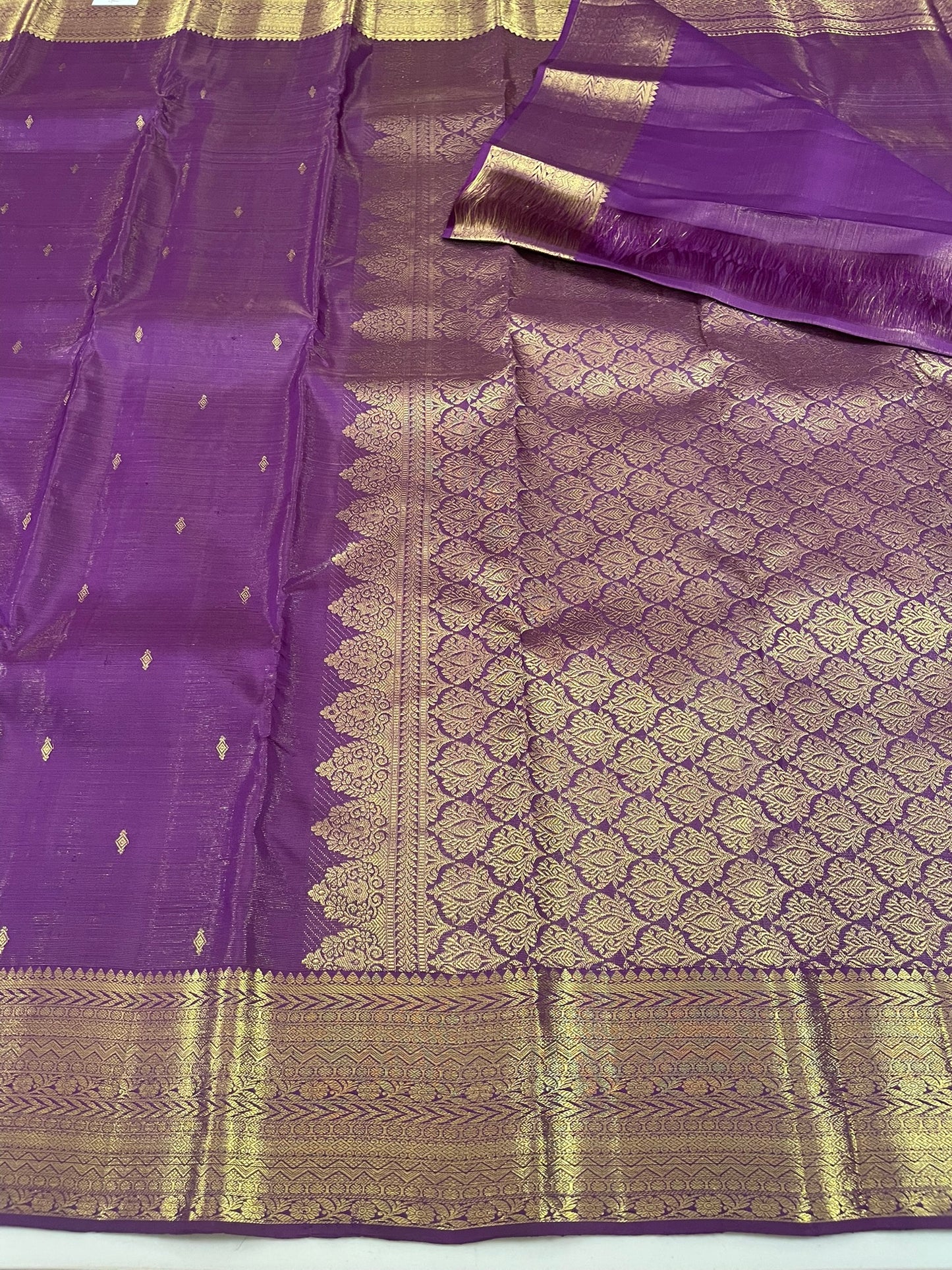 Kanchivaram Silk SBF24E10-1 By SRISHTA