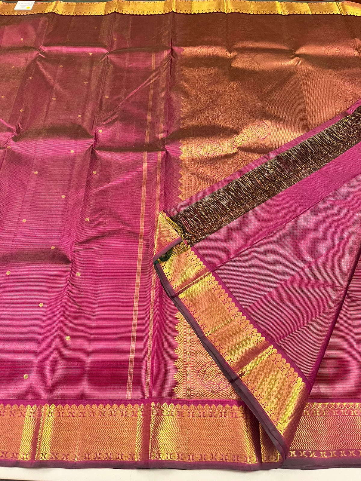 Kanchivaram Silk SBF151J3-1 By SRISHTA