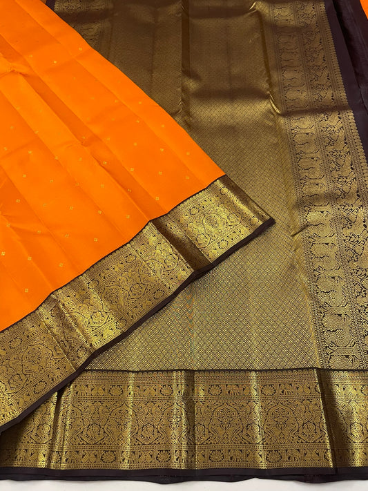 Kanchivaram Silk SBF45E5-6 By SRISHTA