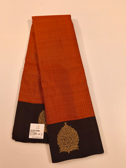 Kanchivaram Silk SBF83G1-3 By SRISHTA