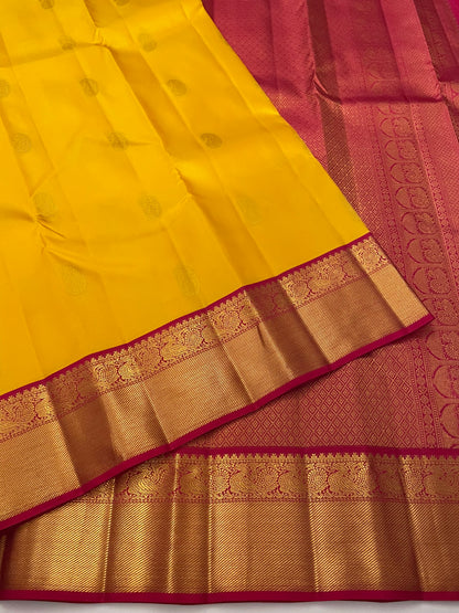 Kanchivaram Silk SBE207L1-9 By SRISHTA