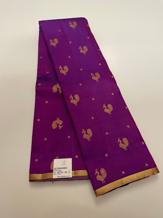 Kanchivaram Silk SBE211L1-1 By SRISHTA