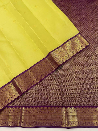 Kanchivaram Silk SBE282C1-5 By SRISHTA