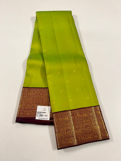 Kanchivaram Silk SBF98H4-5 By SRISHTA