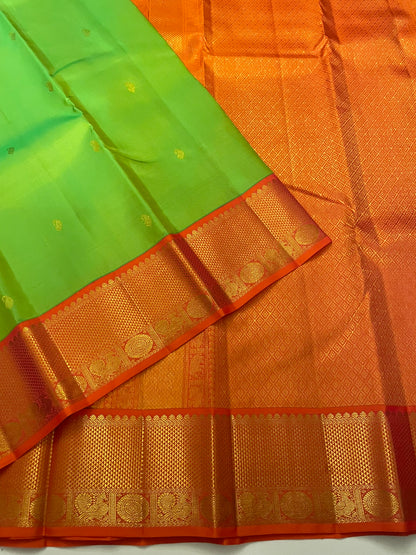 Kanchivaram Silk SBE218L8-16 By SRISHTA