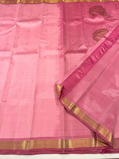 Kanchivaram Silk SBF118I2-1 By SRISHTA