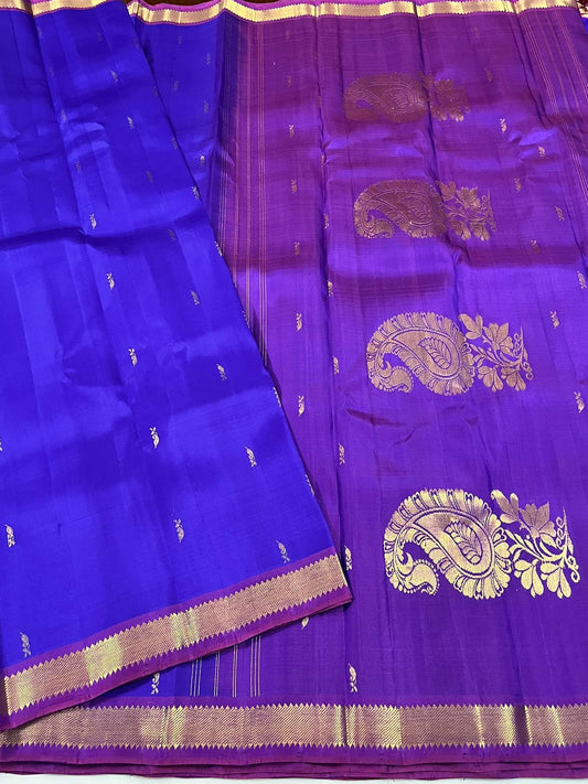 Kanchivaram Silk SBF118I2-4 By SRISHTA