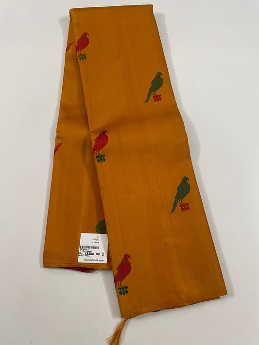 Kanchivaram Silk SBF20D1-1 By SRISHTA