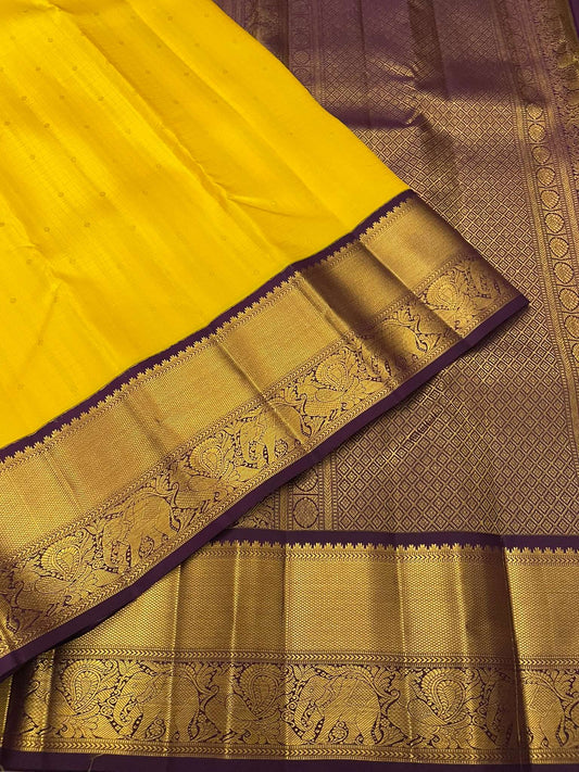 Kanchivaram Silk SBE131I4-17 By SRISHTA