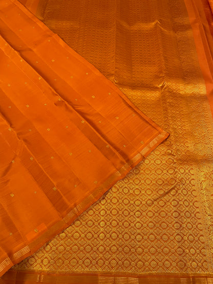 Kanchivaram Silk SBF31E5-1 By SRISHTA