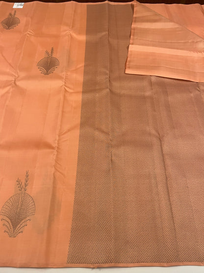 Kanchivaram Silk SBF24E1-1 By SRISHTA