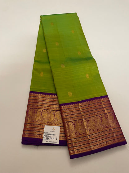 Kanchivaram Silk SBE205L8-1 By SRISHTA